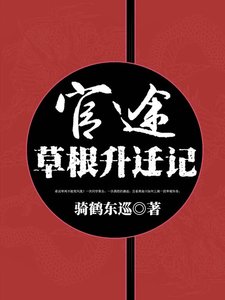 官途:草根升迁记
